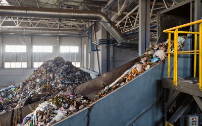 Improving Processing Efficiency in Recycling Plants